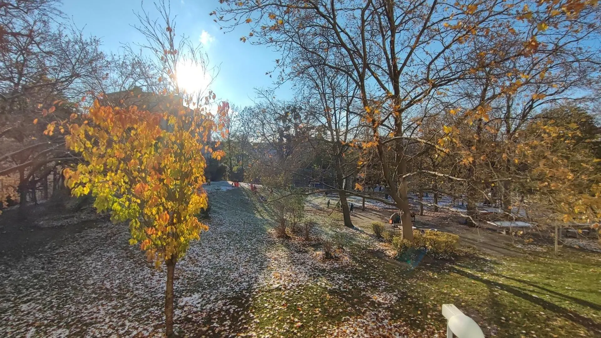 Sonnige Wohnung Mit Parkblick Nahe Schoenbrunn Vienna Apartment